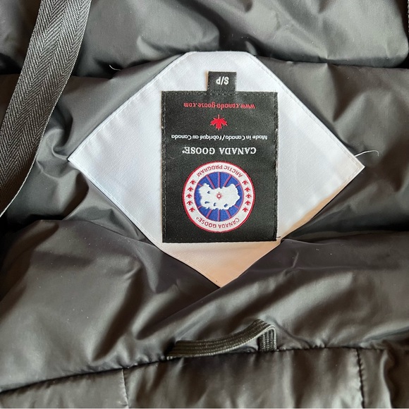 White Canada goose montebello - Picture 12 of 12